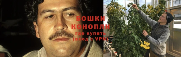 гидра Волосово