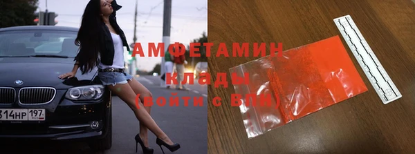 прущие грибы Волоколамск