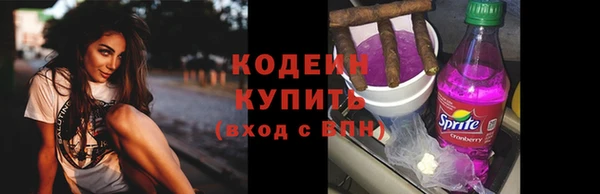 прущие грибы Волоколамск