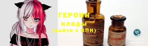 прущие грибы Волоколамск