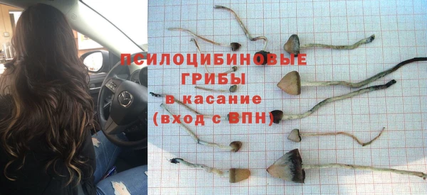 соль ск Володарск