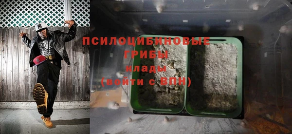прущие грибы Волоколамск