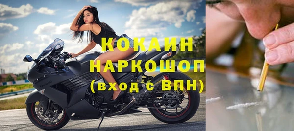 гидра Волосово