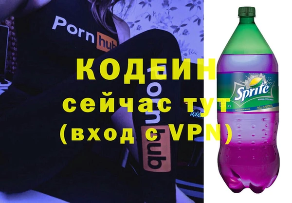 прущие грибы Волоколамск