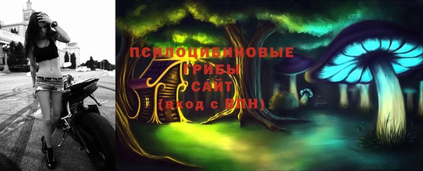 прущие грибы Волоколамск