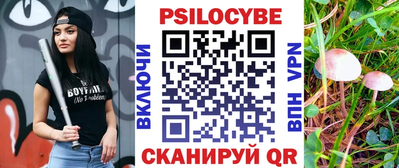 Псилоцибиновые грибы GOLDEN TEACHER наркотики Дигора