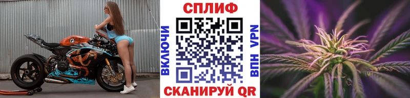 Конопля SATIVA & INDICA hydra онион Дигора